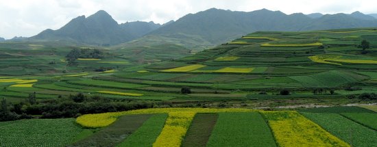 Terraces of Gansu Province