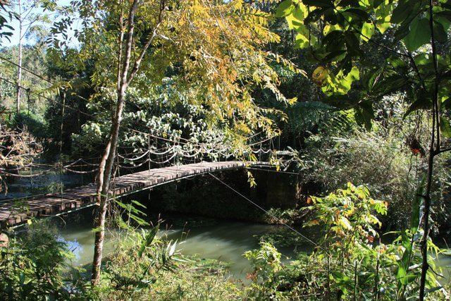 XiShuangBanna Tropical Botanical Gardens Bridge