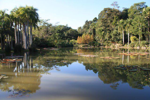 XiShuangBanna Tropical Botanical Gardens Hotel Lake