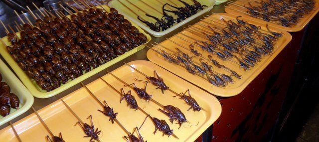 Eating Insects