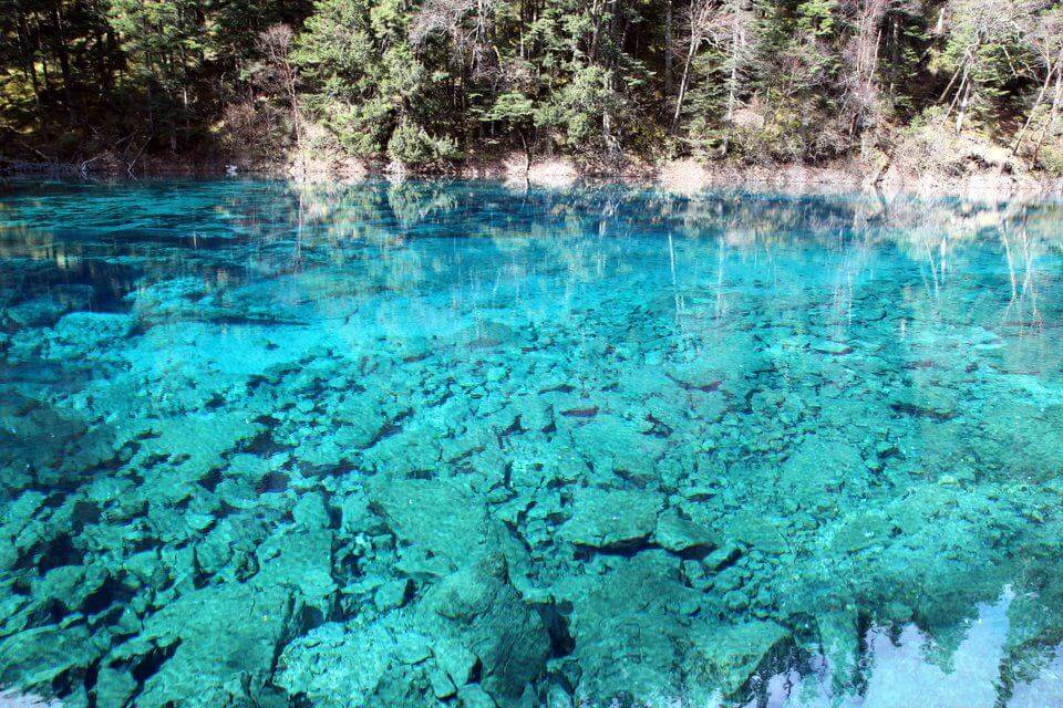 Five Coloured Pool Jiuzhaigou