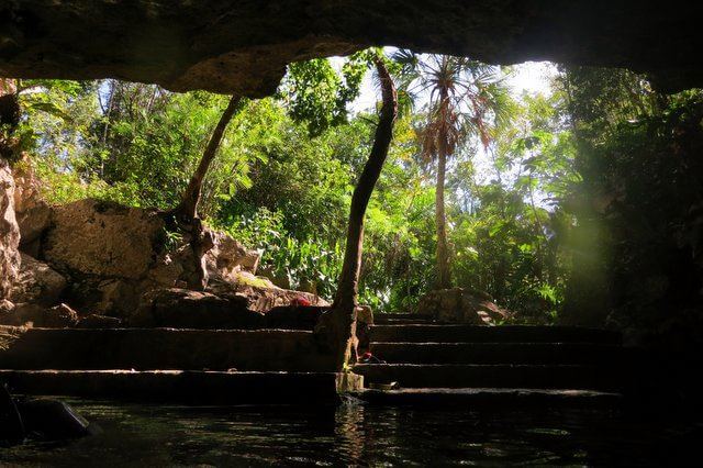 Surface of the Cenote