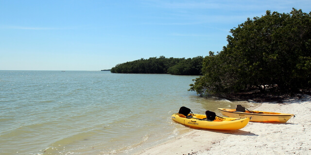 Beached kayaks in the Everglades