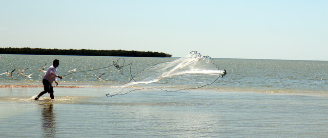 Fishing in the Everglades