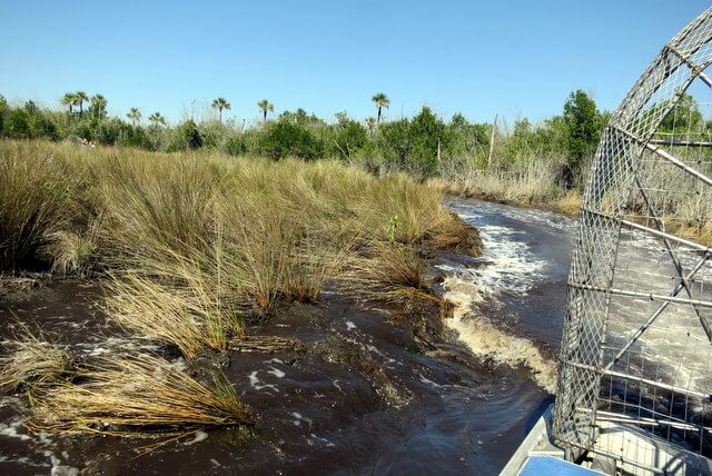 Grass plains Everglades prairies