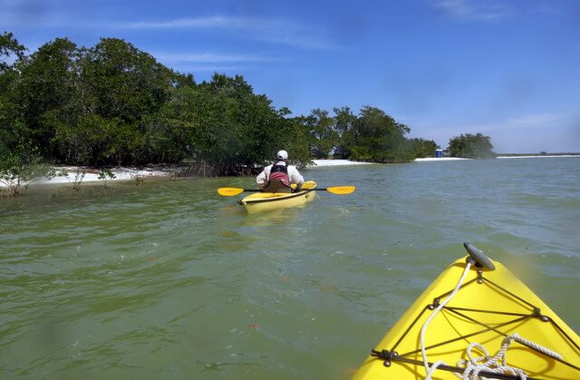 Kayaking after our expert guide