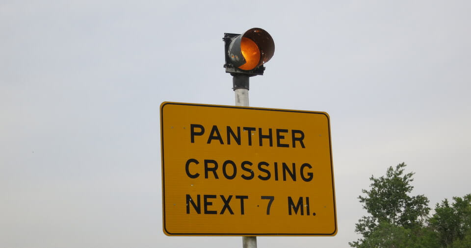 Panther Crossing Sign