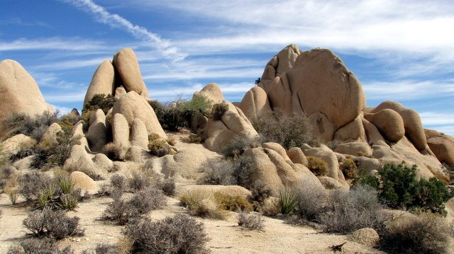 Joshua Tree National Park