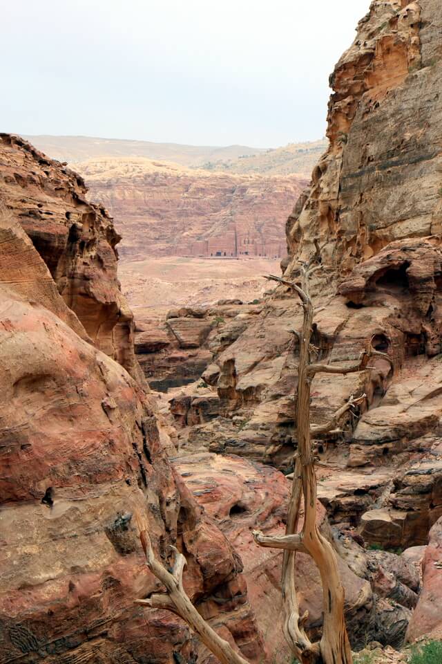 Petra view