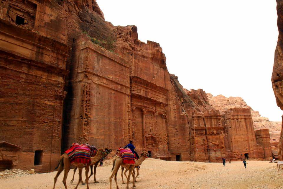 Buildings in Petra