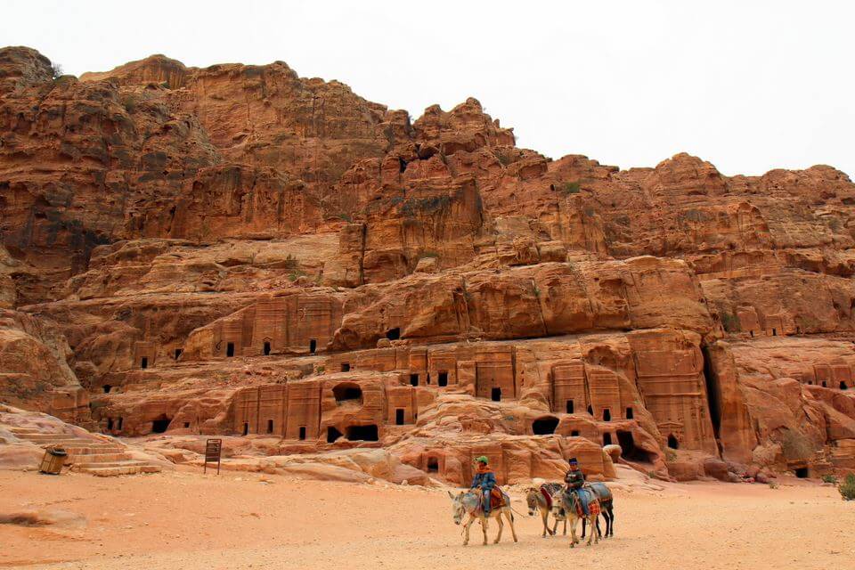 Donkeys at Petra