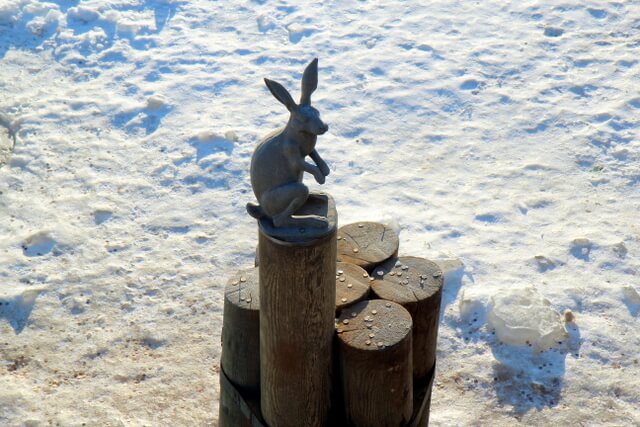 Rabbit by the access bridge