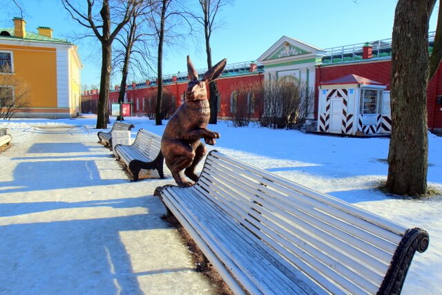 Rabbit by the bench