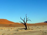 Biggest sand dune in the world – Sesriem, Namibia