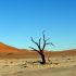 Biggest sand dune in the world – Sesriem, Namibia